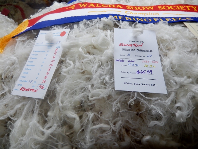 Wool Competition Walcha Agricultural Show 